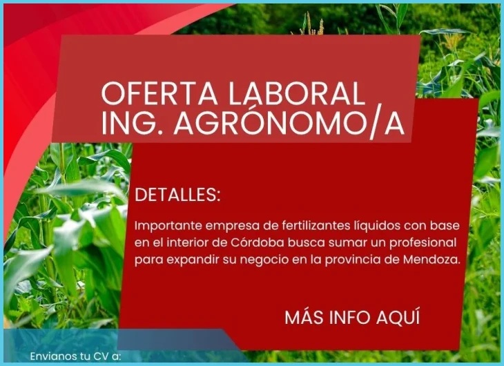 ¿Bolsa de Trabajo Mendoza sin experiencia Junio 2026?
