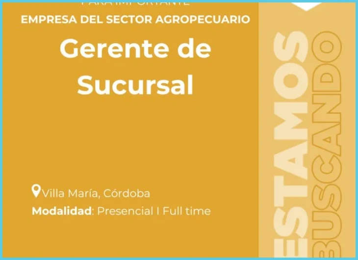 Experiencia laboral formal e informal y su impacto en la postulación